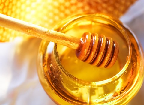 خرید و فروش عسل اکالیپتوس خالص با شرایط فوق العاده